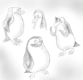 Penguins..  - penguins-of-madagascar fan art