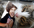 cats LOVE harry styles - one-direction photo