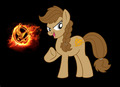 katniss as a pony - the-hunger-games photo