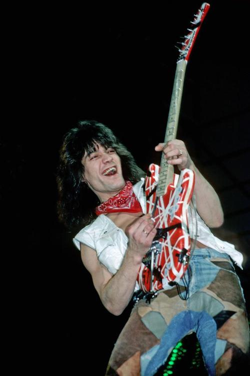 Featured image of post Eddie Van Halen Phone Wallpaper Huge collection amazing choice 100 million high quality affordable rf and rm images