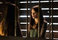 4x01 'Growing Pains' - Promotional Photo  - the-vampire-diaries-tv-show photo