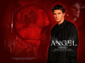 angel - Angel wallpaper