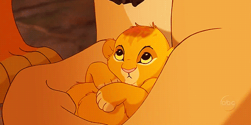 Baby Simba Pictures