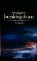 Breaking Dawn - twilight-series photo