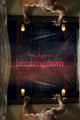 Breaking Dawn - twilight-series photo