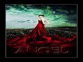 angel - Cordelia  wallpaper