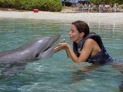  Courteney swimming with the dolphins