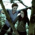 Edward&Bella,Twilight - twilight-series photo