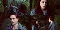 Edward&Bella,Twilight - twilight-series photo