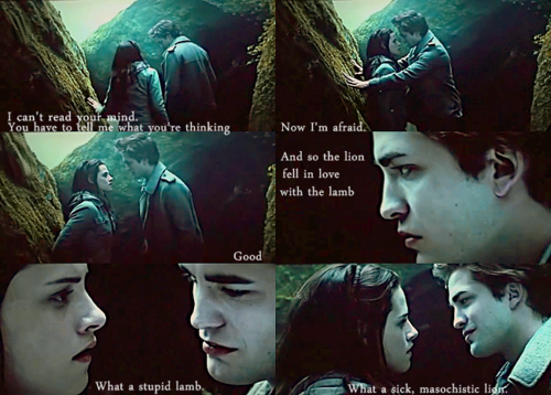  Edward and Bella peminat art