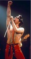 Freddie♥ - freddie-mercury photo