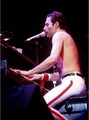 Freddie♥ - freddie-mercury photo