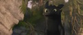 How To Train Your Dragon [Blu-Ray] - how-to-train-your-dragon photo