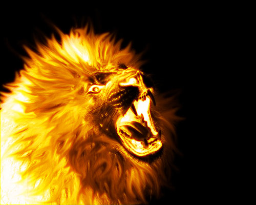  Lion