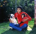 MJ and animal - michael-jackson photo