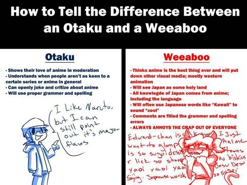 Are you a weeaboo?  Otaku-V-S-weeaboo-anime-32141225-500-375