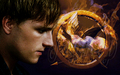 the-hunger-games-movie - The Hunger Games wallpaper