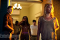 The Walking Dead- Season 3- Promo Photo - the-walking-dead photo