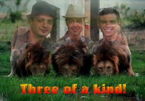 Three of a kind!