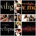 Twilight Fanart - twilight-series fan art