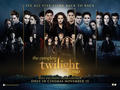 Twilight Saga Movies Screening - twilight-series photo