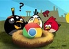  chrome in angry bird's nest
