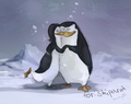 for Skiparah - penguins-of-madagascar fan art