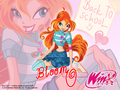 school bloom - the-winx-club photo
