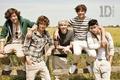 the one and only ONE DIRECTION - one-direction photo