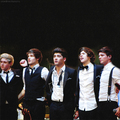 the one and only One Direction - one-direction photo