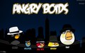 Angry Boids - angry-birds wallpaper