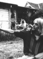 Kurt Cobain and kitty - music photo