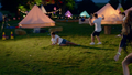 LWWY♥  - one-direction photo