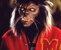 Michael Jackson Thriller werewolf - werewolves photo