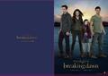 New BD 2 promo pic-Edward/Bella/Renesmee/Jacob - twilight-series photo
