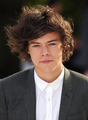 SEP 17TH - HARRY AT BURBERRY LFW S/S 2013 WOMENSWEAR SHOW - harry-styles photo