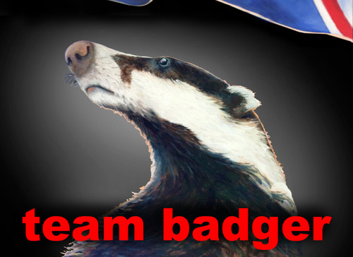 Team Badger
