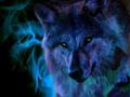 cool wolf spirit pic - alpha-and-omega photo
