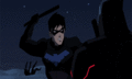 nightwing - young-justice photo