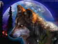 wolf in da night - alpha-and-omega photo