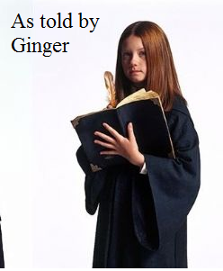  As Told 由 Ginger