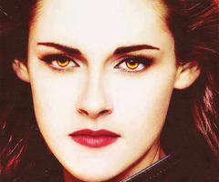  Bella Cullen,newborn vampire
