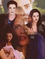Bella & Edward  - twilighters fan art