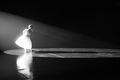 Black Swan Behind The Scenes - natalie-portman photo