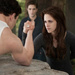 Breaking Dawn – Part 2 new icons - twilight-series icon