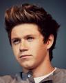 Brunette Niall - one-direction photo