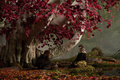 Osha & Bran Stark - game-of-thrones photo