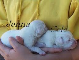  Jenna and Cole