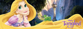 New Disney Store Princess Banners! - disney-princess photo