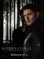 Supernatural Season 8 - supernatural photo